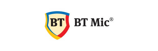 BT MIC BT mic